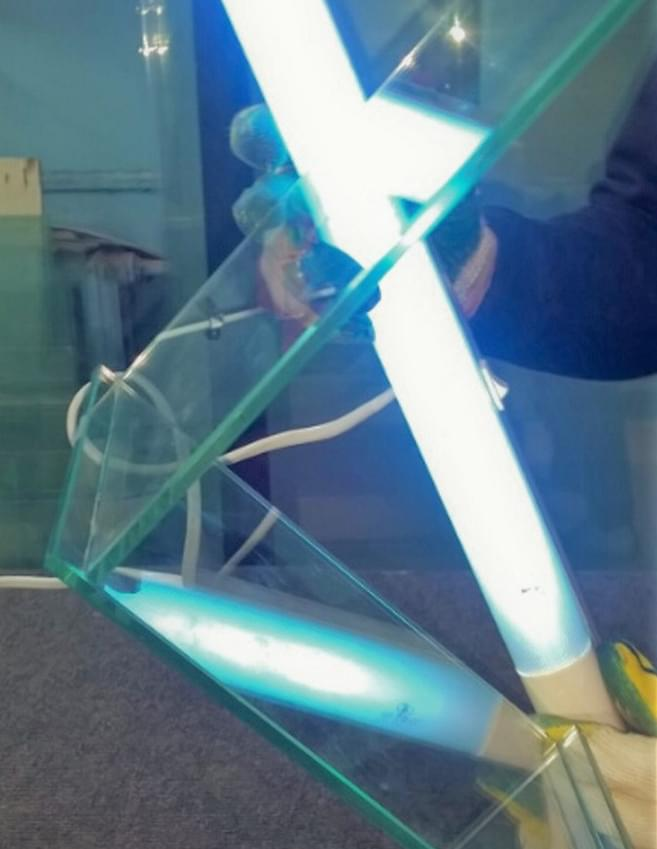 Отверждение на стекле УФ-клея с помощью УФ-лампы